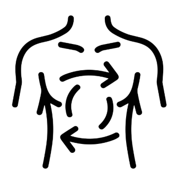 Body wellness body circulation